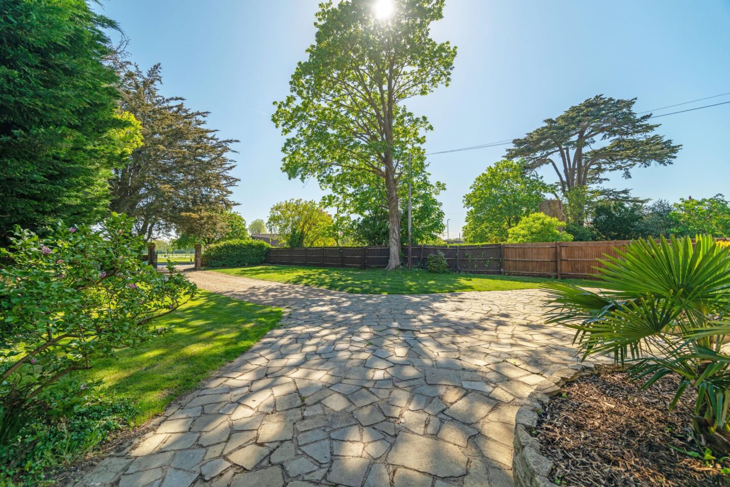 driveway.jpg